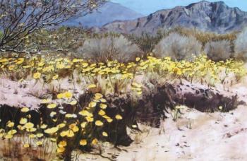 Desert spring by 
																	Edson Newquist