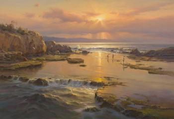Sunrise on the reef, Warrnambool, Victoria by 
																	Andris Jansons