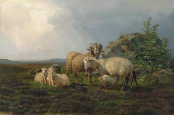 Schafe auf einer Heidewiese bei einem Findling by 
																	Johannes Wilhelm Zillen
