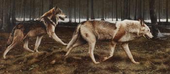 Timber wolves by 
																	Tony Karpinski