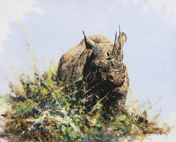 Rhino by 
																	Dharbinder Singh Bamrah