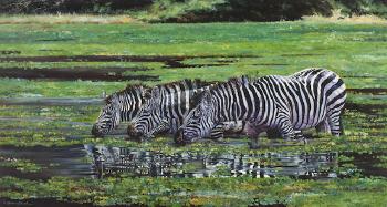 Zebra Drinking at a Waterhole by 
																	Dharbinder Singh Bamrah