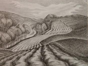 Ploughed Fields by 
																			Wanda Gag