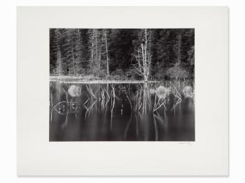 Portage Glacin Pond, Alaska by 
																			Robert Werling