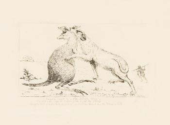 A Kangaroo Caught by a Wild Native's Dog 1836 by 
																	Benjamin Duterreau