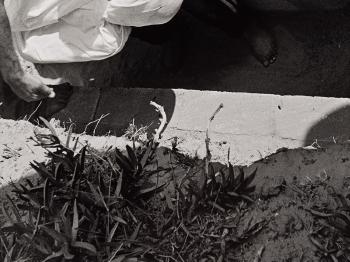 Rafah. Gaza Strip by 
																			Larry Towell