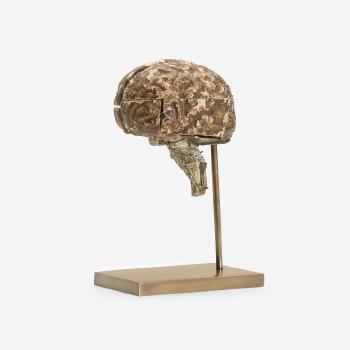 Brain model by 
																	Louis Thomas Jerome Auzoux