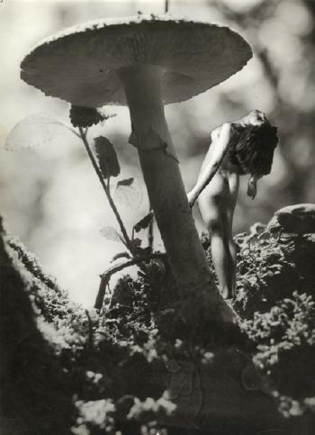 Femme sous un champignon by 
																	Aline Elmerich
