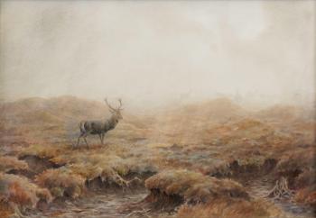 Stag on moorland, away from the herd by 
																	Vincent Balfour-Browne