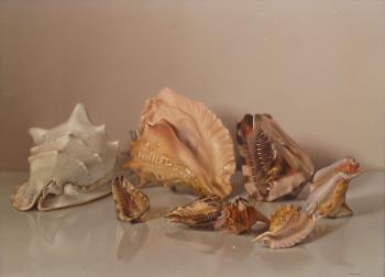 Still life of Conch shells by 
																	Enrique Campuzano