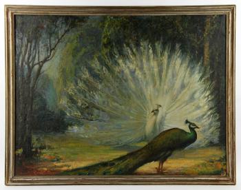 The Peacocks by 
																			Roman J Prybot