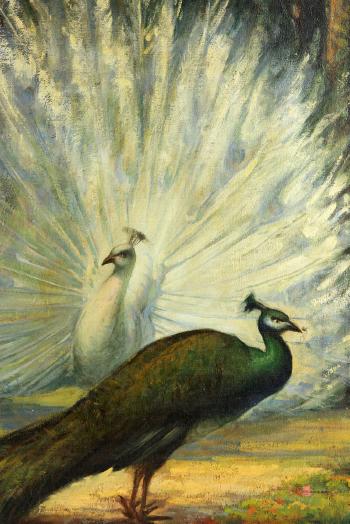 The Peacocks by 
																			Roman J Prybot