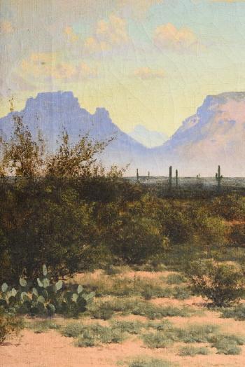 Arizona by 
																			Audley Dean Nicols