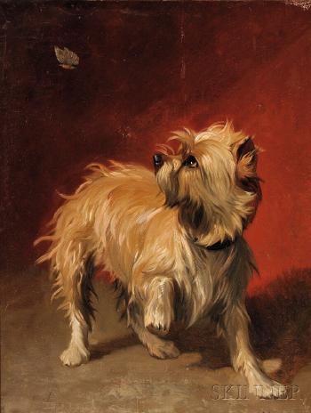 Terrier with Butterfly by 
																	Conradyn Cunaeus