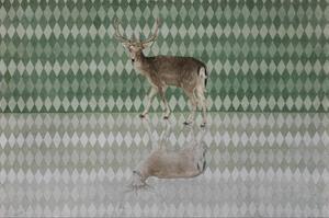 Deer by 
																	 Qin Ai