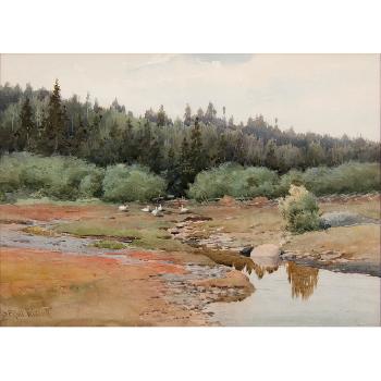 Landscape, forest edge with creek by 
																			Samuel Peter Rolt Triscott