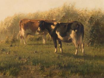 Grazing Cows by 
																			Cornelis Westerbeek