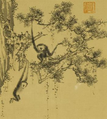 Monkeys in a pine tree hanging on a cliff by 
																			 Fu Yu