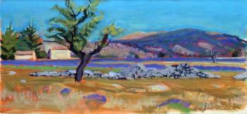 Paysage de Provence by 
																	Daniel du Janerand