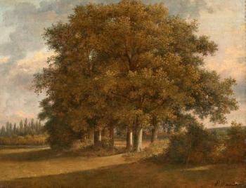 Paysage aux grands arbres dans une plaine by 
																			Alexandre Pau de Saint Martin