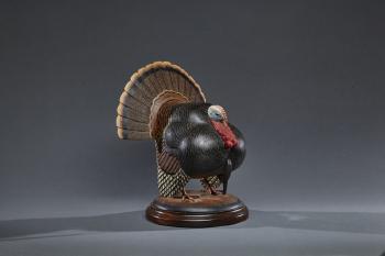 One-Quarter-Size Turkey in Strut by 
																			Eddie Wozny