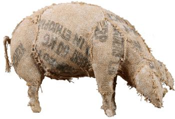Cochon de Bayeux by 
																	Jean Philippe Hausey Leplat