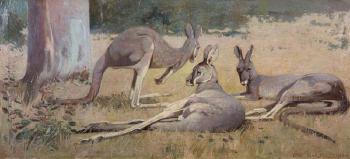 Three Grey Kangaroos by 
																	Henry Glede Garlick