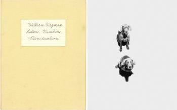 Letters, Numbers, Punctuation by 
																			William Wegman