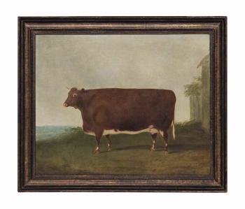 A prize Heifer by 
																	George B Newmarch