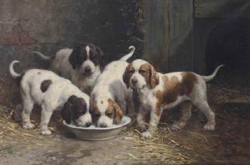 Saint Bernard puppies drinking milk by 
																	Otto Eerelman
