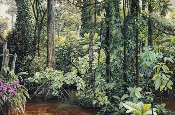 Selva Pluvial by 
																	Mauricio Barbato