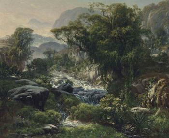 A mountain stream in the rainforest above Rio de Janiero by 
																	Henri Nicolas Vinet