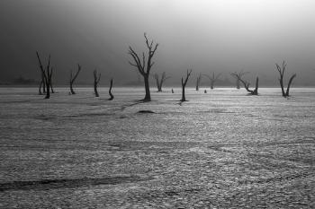 Apocalypse, Namibie by 
																	Michel Zoghzoghi