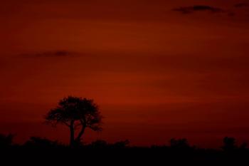 First Light, Kenya by 
																	Michel Zoghzoghi