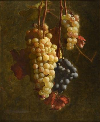 Raisins rouges et raisins blanc by 
																	Jacques Joussay