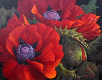 Morning Light, Poppies by 
																	Page Ough