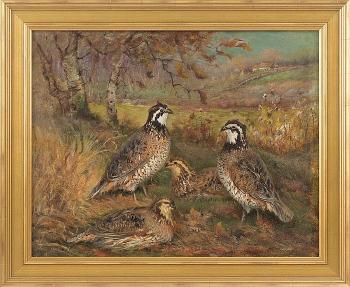 Bevy of quail and a distant house by 
																			Daniel Santry