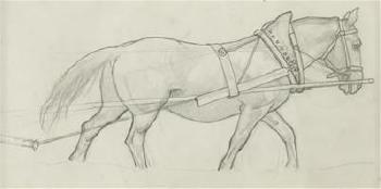 Pflug; Pferd by 
																			Wilhelm Dachauer