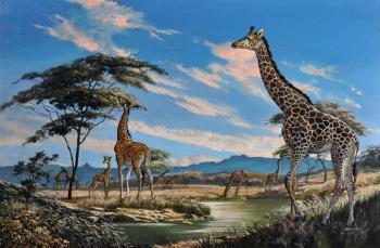 Giraffe's in a landscape by 
																			Eric Tansley