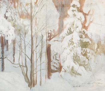 Winter Landscape by 
																			Antti Faven