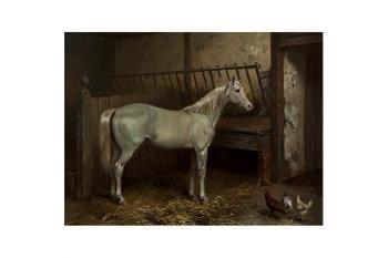 A grey in a stable; The meet by 
																			Kiss Csaba