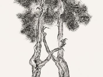 Connected Trees from Forbidden City No. 1 by 
																			 Zeng Xiaojun