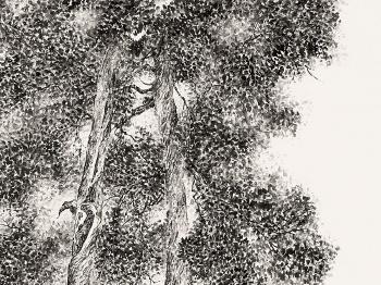 Connected Trees from Forbidden City No. 1 by 
																			 Zeng Xiaojun