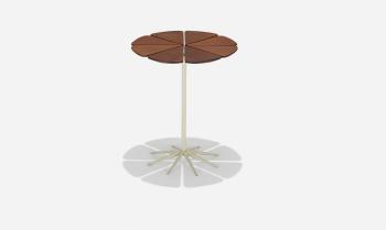 Early Petal table by 
																			Richard Schultz