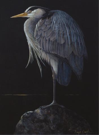 Great Blue Heron by 
																			Page Ough