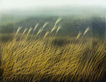 The Wind into the Grass, the Grass into the Wind by 
																	 Ahn Byeong-Seok
