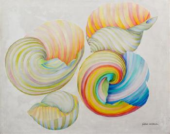 Shells by 
																	Piero Aversa