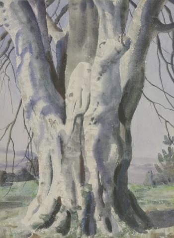 The Beech Tree by 
																			Ernest Procter