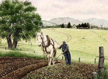 Plowing by 
																	Walt Cude