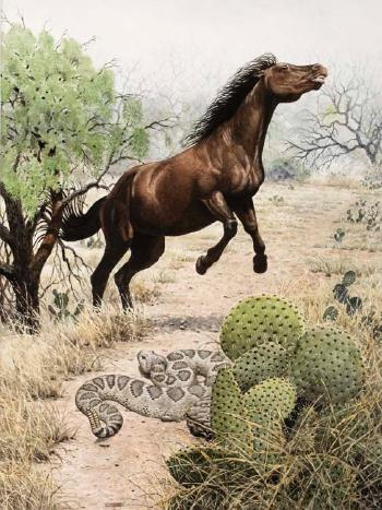Horse & Rattler by 
																	Walt Cude